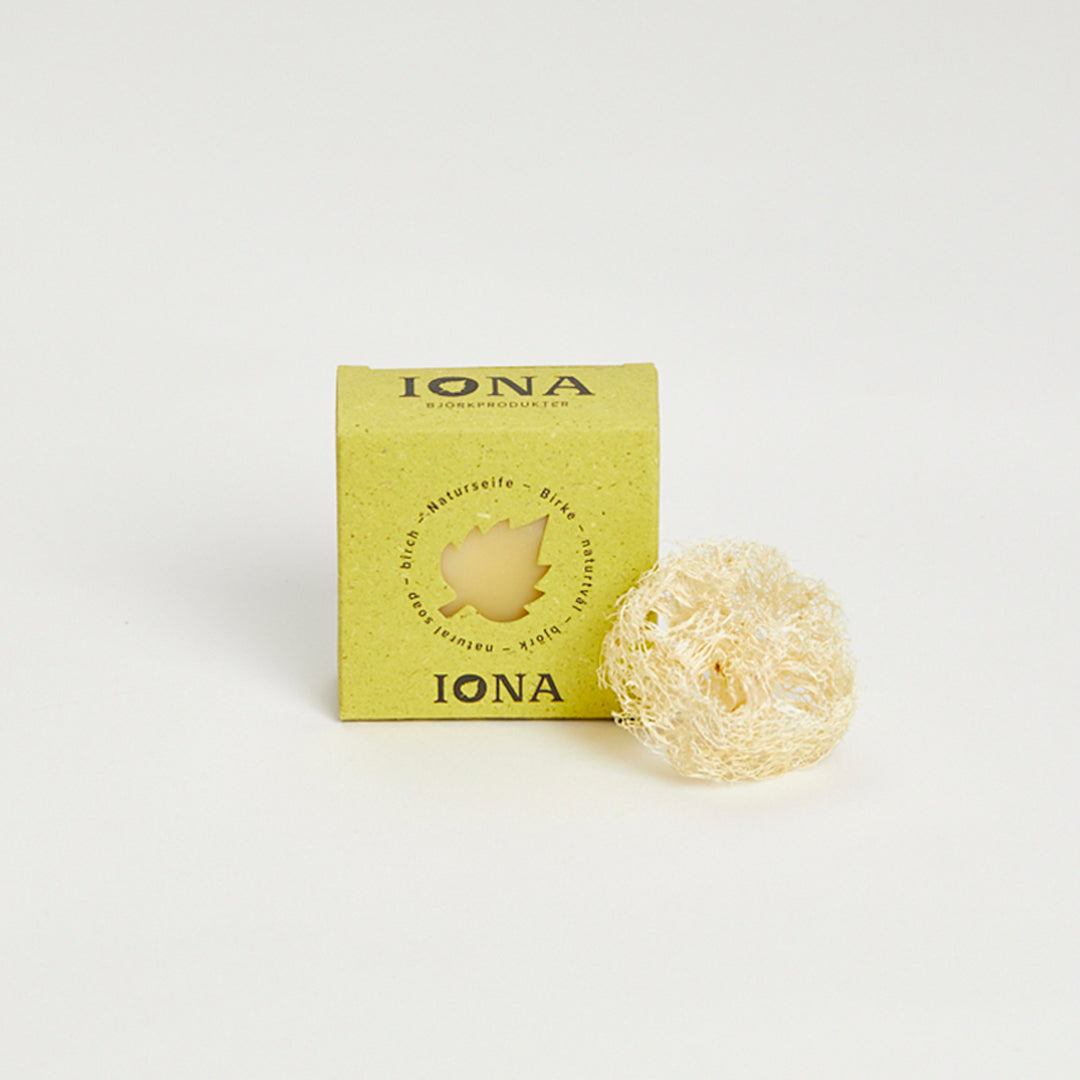 Björktvål med luffa