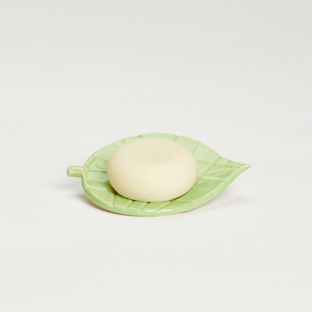 Tvålkopp av björklöv