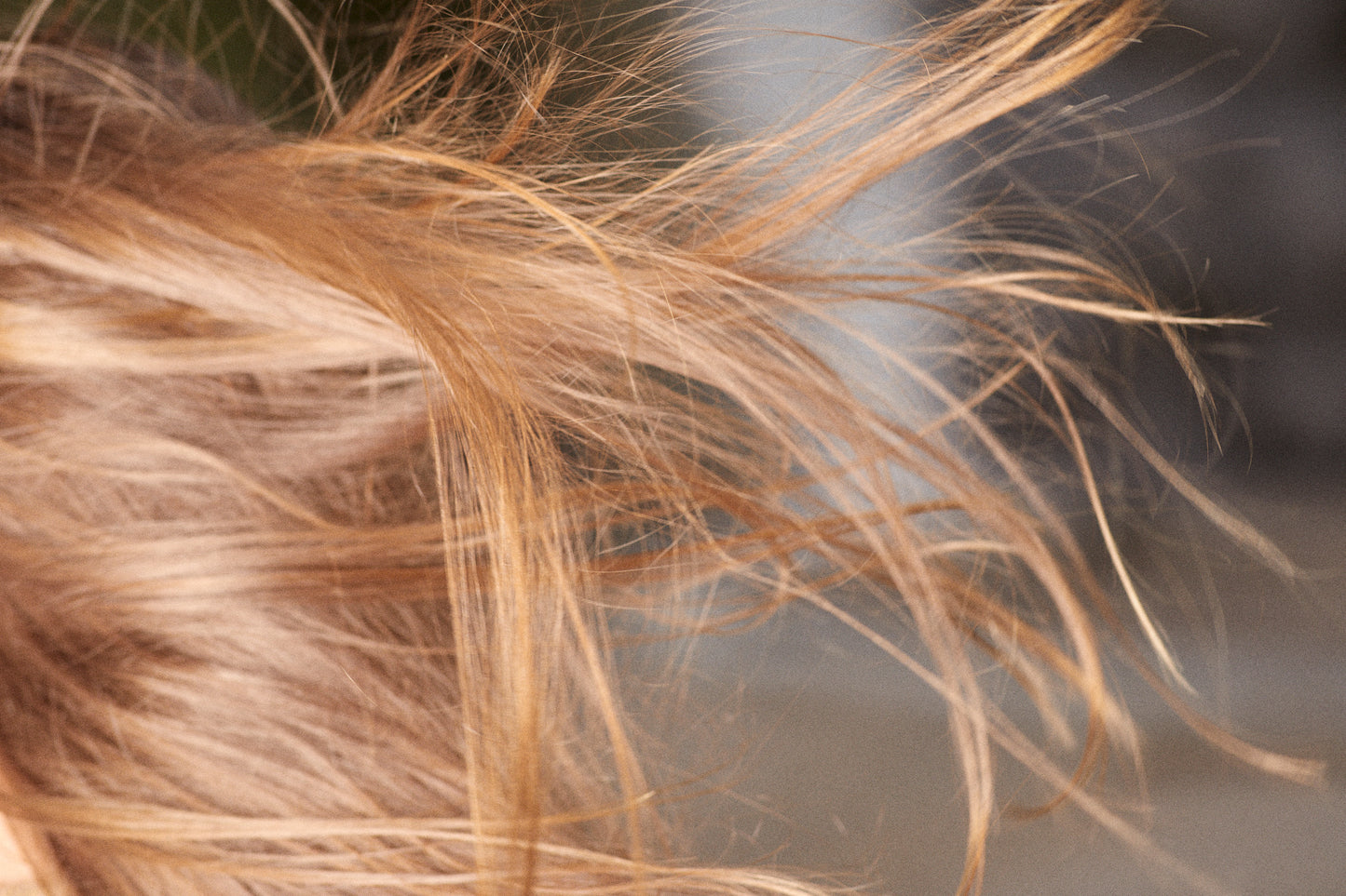 Björkhårtvål eller fast schampo skogsdoft i kombination med hårbalsam björksav