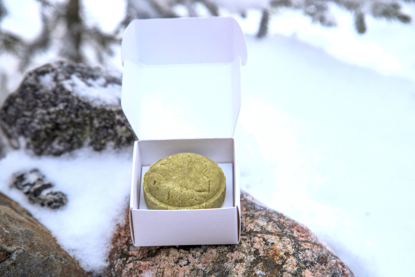 Fast schampo björk-skogsdoft 60 g