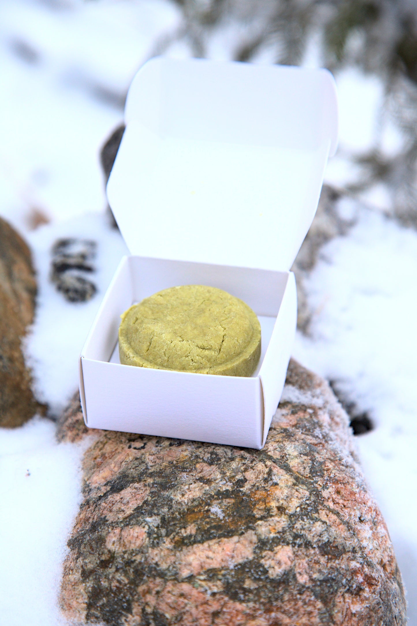 Fast schampo björk-skogsdoft 60 g