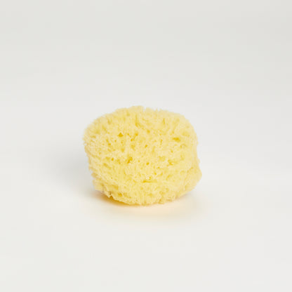 Natural bath sponge